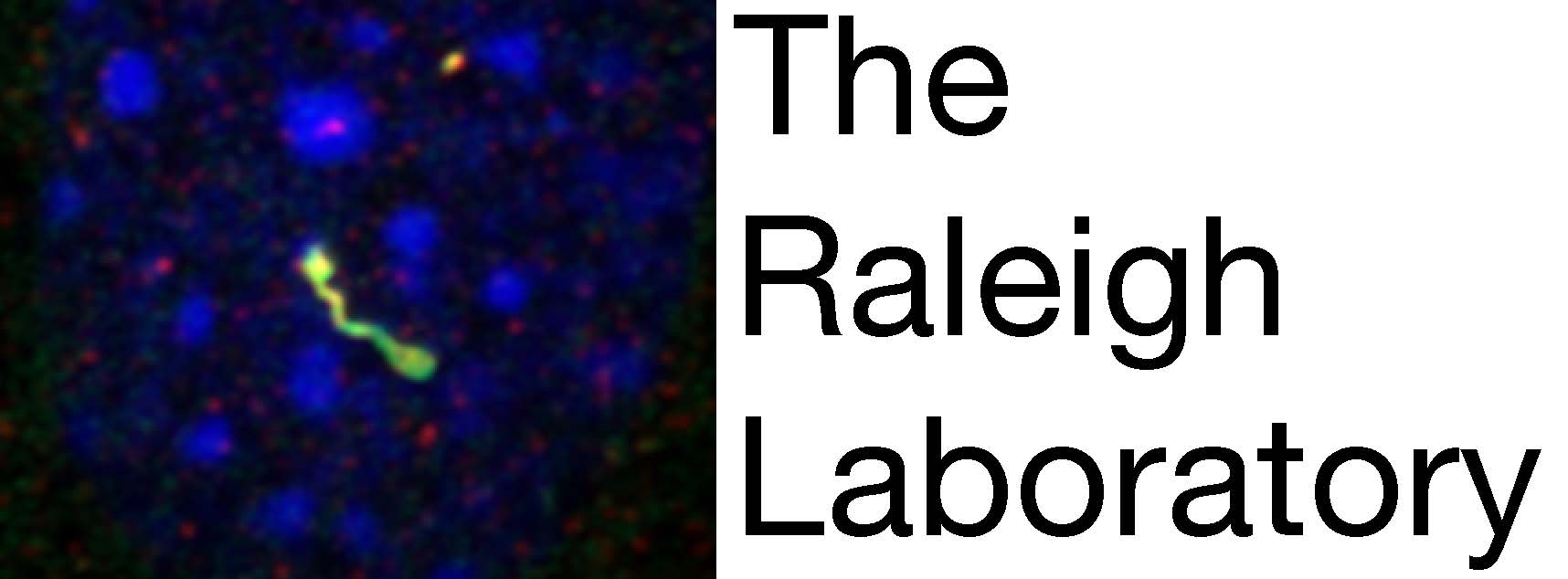 The Raleigh Laboratory homepage